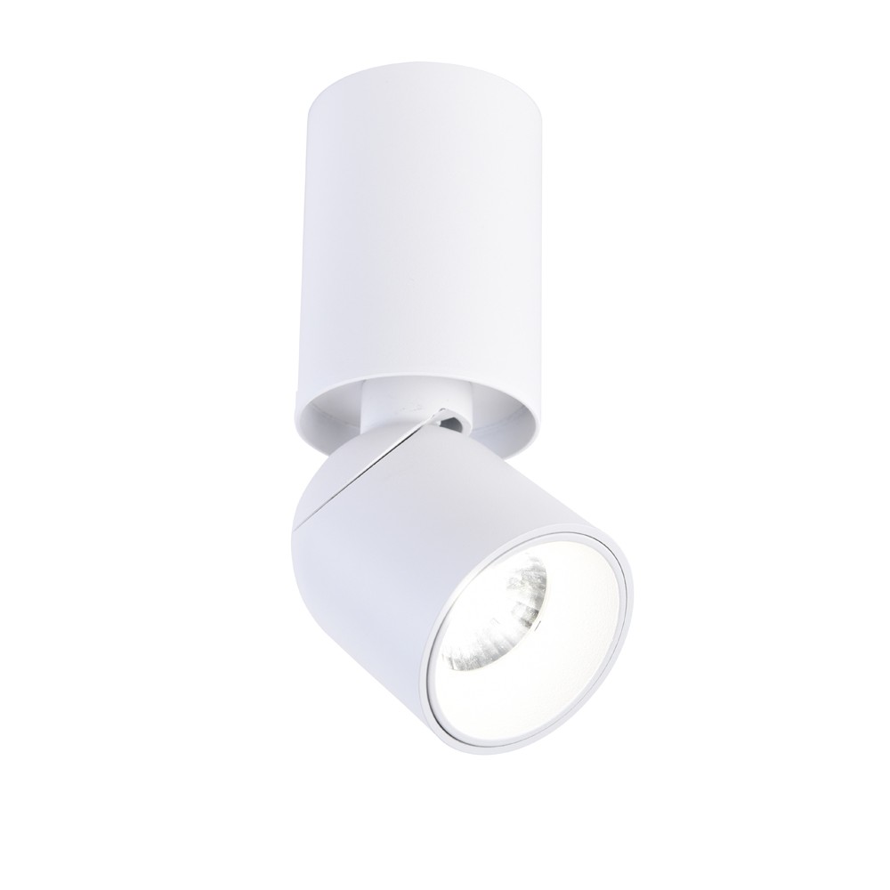 Foco de techo orientable LED Skadi Blanco 8W 900Lm 4000K